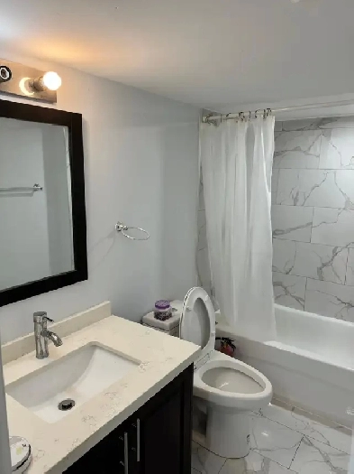 1 BR Very Spacious Legal Basement Apartment