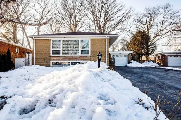 2 bed basement house for rent