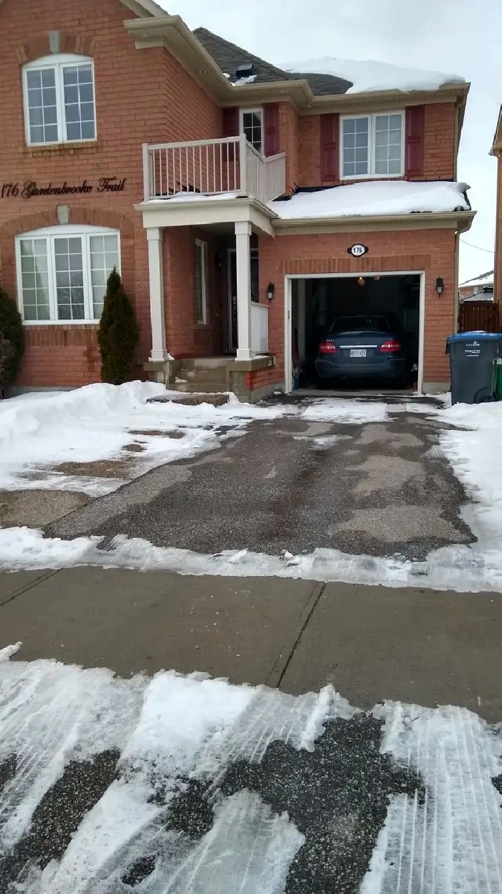 BASEMENT ONE BEDROOM APARTMENT IN BRAMPTON