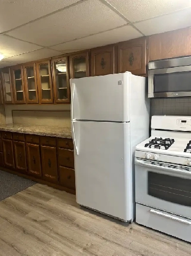 Basement suite on Farm near Millet,AB Image# 1