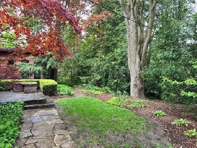 4 Bdrm home, University 1 block, $800 to $1000