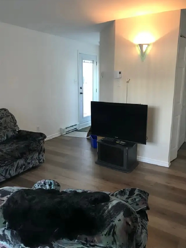 4 1/2 Style Condo à louer - Lévis