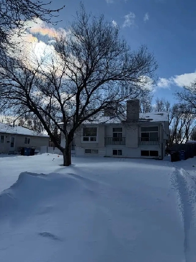 Room for rent near University Of Manitoba Image# 1