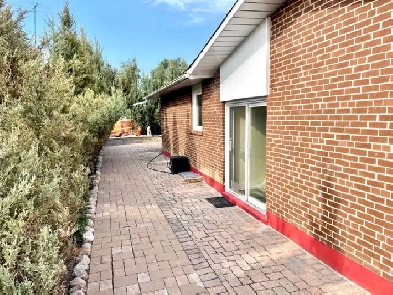 1 BR Basement Apartment in Etobicoke for Renr