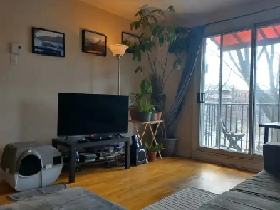 Charmant 3 ½ à louer près du métro Préfontaine – 1 250 $/mois Image# 1