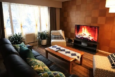 Fully Furnished & Renovated 3-Bedroom Suite – Perfect for Newcom Image# 1