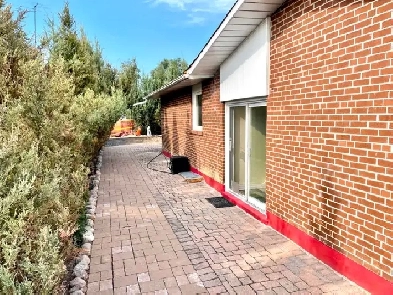 1 BR Basement Apartment In Etobicoke For Rent Image# 1