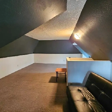 loft, 600$, must love cats Image# 1