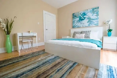 $1300/mo single furnished room for sublease, May 1st- August 31 Image# 1