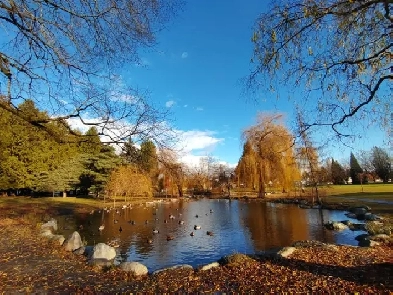 Freshly Renovated & Furnished 2-Bedroom Suite -All-inclusive Image# 1