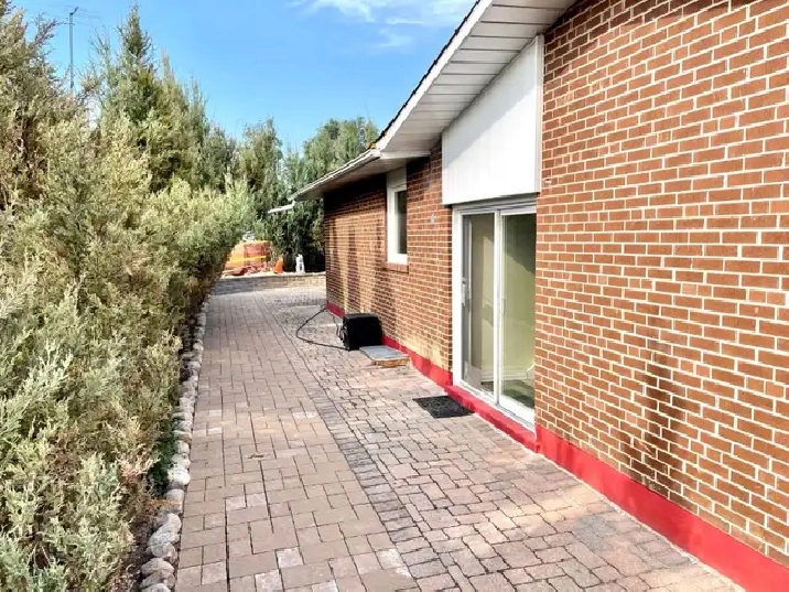 1 BR Basement apartment in Etobicoke for Rent