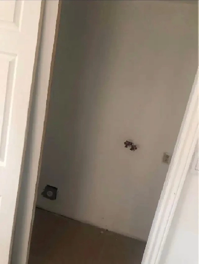 3 1/2 a louer Image# 1