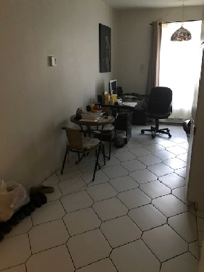 Downtown Montreal Metro Papineau luxury 2 1/2 with appliances Image# 1