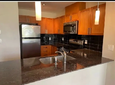 1 BR and a Den  for Rent