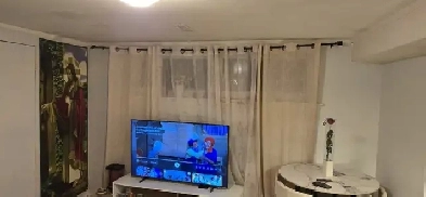 One Bedroom basement apartment - Yonge and Steels Image# 1