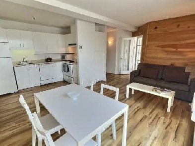 CONDO LIBRE MEUBLÉ-TOUT INCLUS 3 1/2, Montcalm St Jean Baptiste. Image# 1