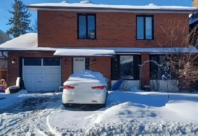 4 Bedroom House available April 1st Trend Arlington area Image# 2