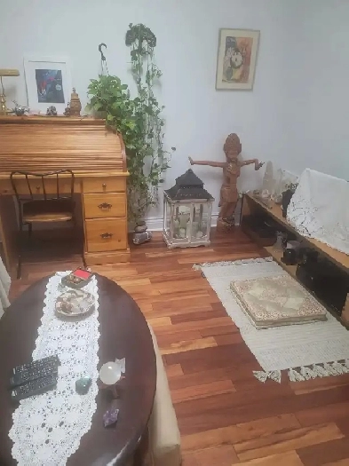 COZY 3 1/2 HOMA MÉTRO PIE IX - CESSION DE BAIL Image# 1