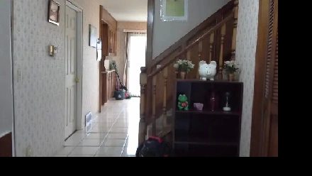 2nd Floor/5 Mins Walk to Whitehorn Ctrain/Near DT & Airport Image# 5