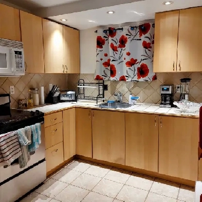 Beau/propre et rénové 3 1/2 à louer Image# 1