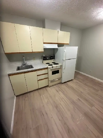 Bachelor Available now in Minnow Lake Image# 5