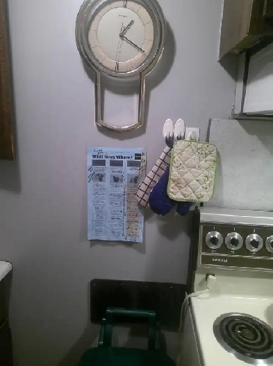 $825.00 FURNISHED BASEMENT SUITE BY WEST EDM. MALL Image# 7