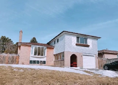 UTSC and Centennial College 3 rooms apartment for rental Image# 4