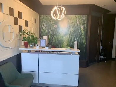 RMT Massage Business for sale Image# 1