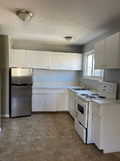 FOR RENT 1 & 2 Bd Apartment 11916 105 St Edmonton Image# 3