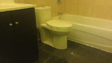 Grand 4 ½  2iem etage, Longueuil, 1 Juillet, 2026 Image# 1