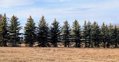 Bare acreage lot For Sale in Meadowbrook Views at Gull Lake