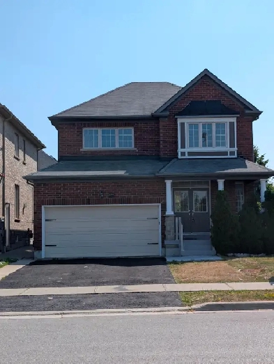 1 Room in 2-Bedroom, 1-Bath Legal Basement Apartment Image# 1
