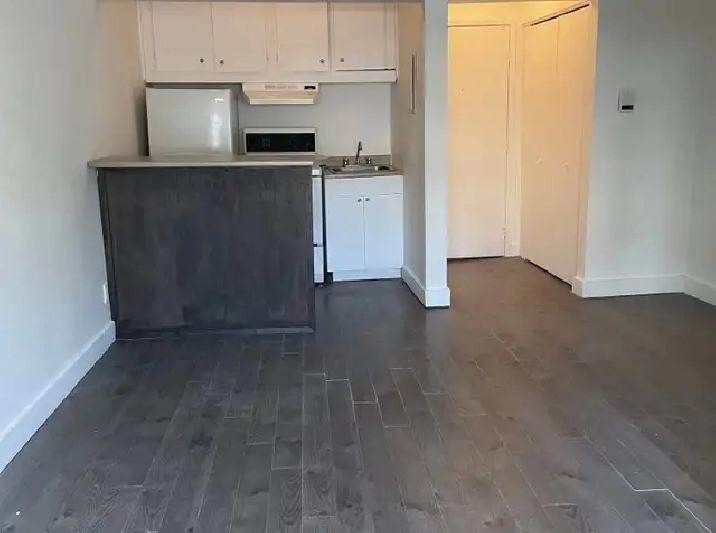 Beau grand 1 1/2 WIFI rue Richelieu Juillet