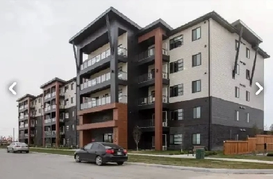 2 Bed 1 Bath Apartment for Rent- Available ASAP Image# 1