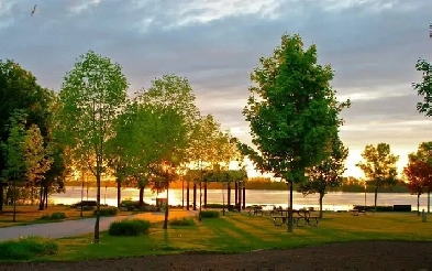 magnifique 4 1/2 très Propre Parc Bellerive Image# 1