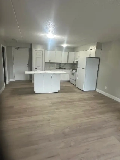 Main Floor 3 Bedroom Apartment Available Now in Minnow Lake Area Image# 8