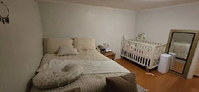 One Bedroom basement apartment  Yonge and Steels