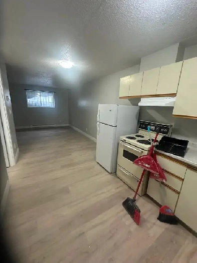 Bachelor Available Now in Minnow Lake Image# 5