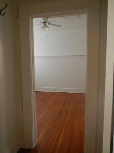 CUTEST TINY APARTMENT - SINGLE ONLY