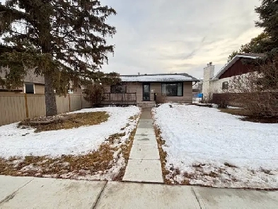 No Pet Alligators or Pet Amoebas