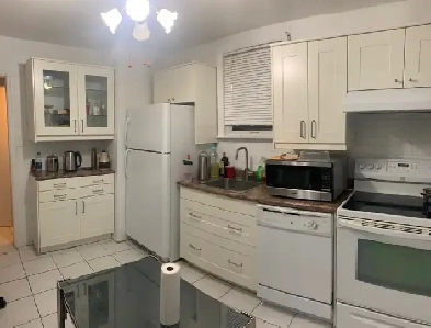 Bunaglow For Rent Keele Eglington