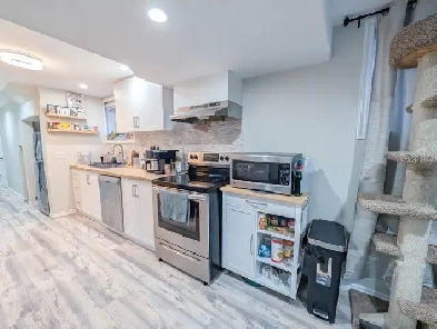 237A Scott St - All Inclusive Bachelor Apartment Image# 1