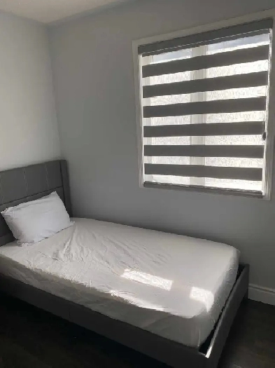 One Room to Rent in Dixie and Sandalwood Image# 1