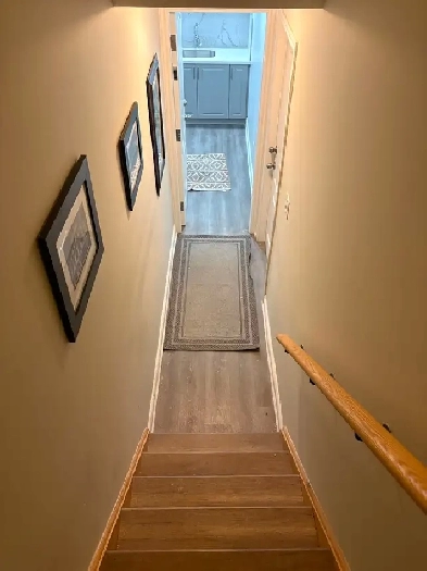 Basement Apartment for Rent  699  Month  Available Immediate