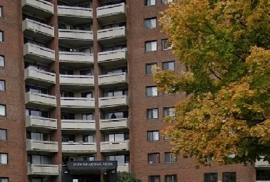 Apartment for Rent – 1339 Meadowlands Dr Image# 3