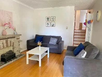 Rooms for Rent Image# 10