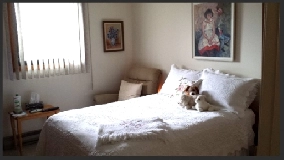 55 plus seniors building 1 bedroom suites Osborne Village Image# 1