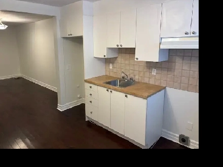 HOCHELAGA: TRÈS GRAND 3 1/2 RDC, MÉTRO JOLIETTE, VALOIS, COUR Image# 1