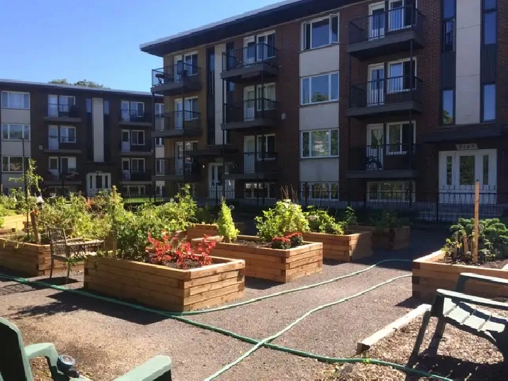 5 1/2 à Ste-Foy près des ponts et Boul. Laurier pour JUILLET