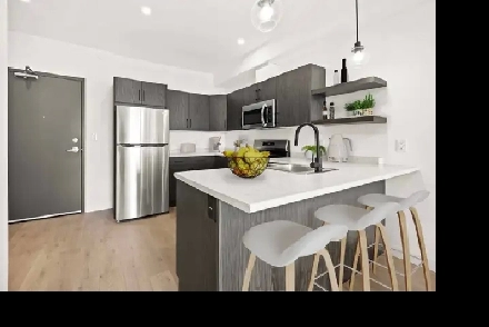 Luxury 2 Bedroom Apartment Available! 2 Fitness Centre Included Image# 3